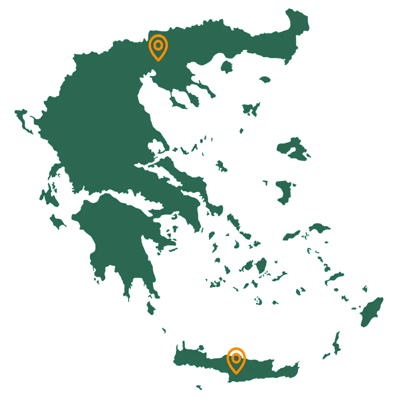 Μπουζούκια